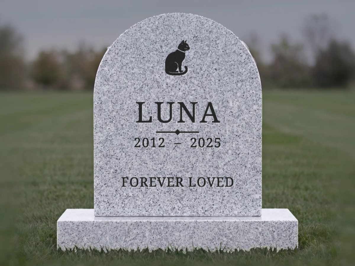 Pet upright headstone design, lettered for the Luna, with a cat